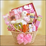 Stork Themed New Baby Girl Gift Basket